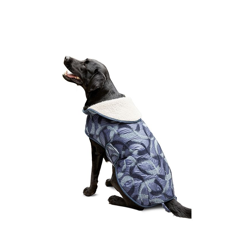 Patron Burda n°6049 : Manteau pour chien